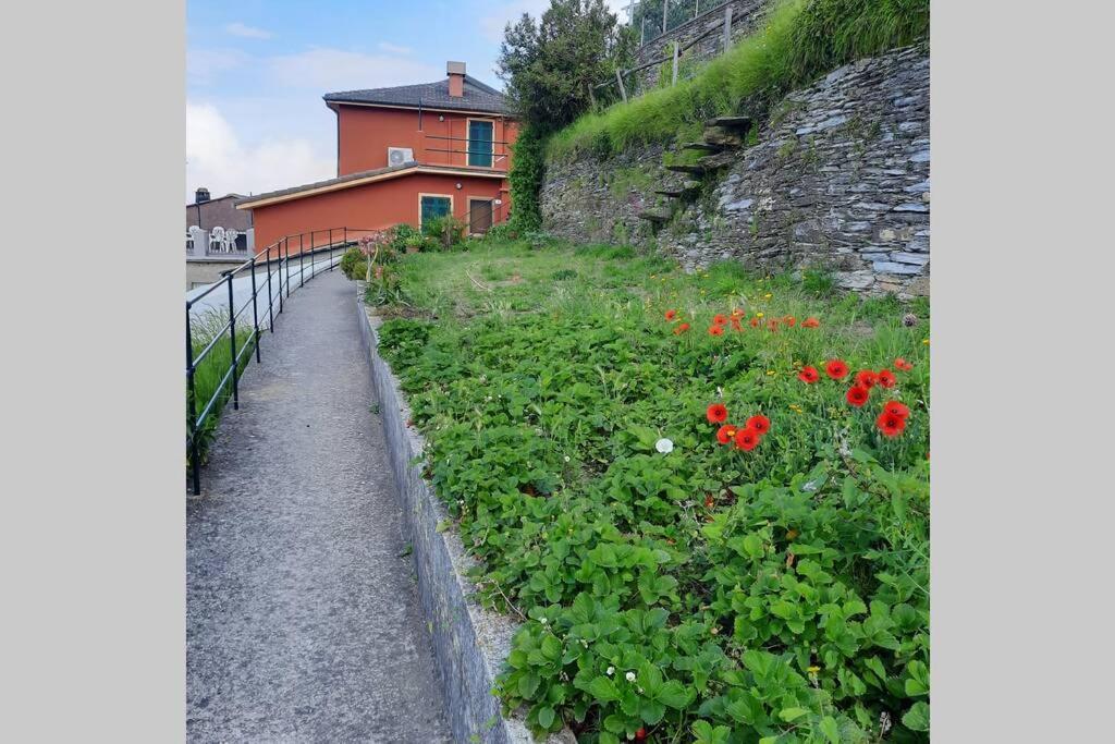 La Finestra Sul Golfo - Citra 010018-Lt-0033 - Villa Cogorno Eksteriør bilde